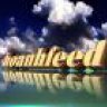 hoanhfeed