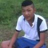 domilc