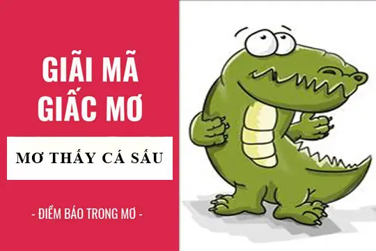Giải Mã Nằm Mơ Thấy Nhiều Cá Sấu: Ý Nghĩa, Điềm Báo Và Con Số May Mắn