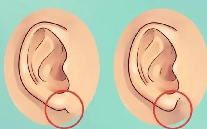 Tướng Tai Có Thay Đổi Theo Thời Gian Không Và Ý Nghĩa Nhân Tướng Học Cần Biết
