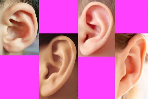Tướng Tai Có Thay Đổi Theo Thời Gian Không Và Ý Nghĩa Nhân Tướng Học Cần Biết