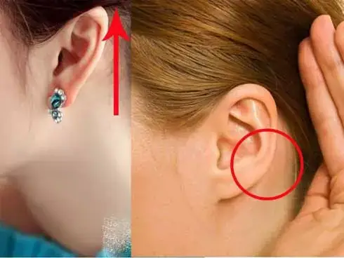 Tướng Tai Có Thay Đổi Theo Thời Gian Không Và Ý Nghĩa Nhân Tướng Học Cần Biết