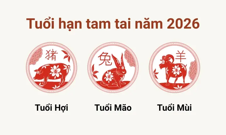 Hướng Dẫn Chi Tiết Cách Cúng Tam Tai Cho Nữ Tuổi Mậu Ngọ 2027: Lễ Vật, Văn Khấn Và Cách Hóa Giải Chuẩn Phong Thủy